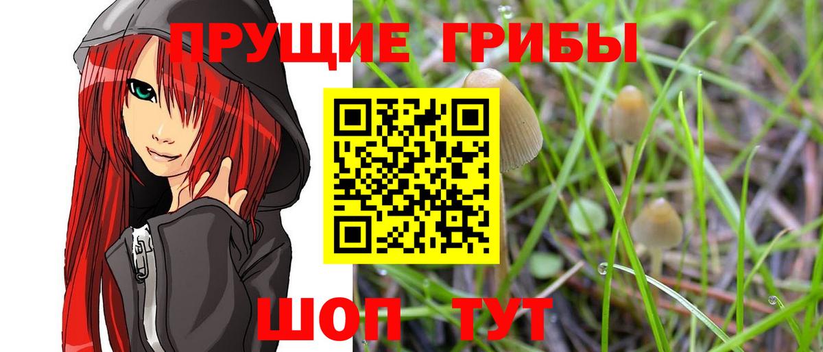 Менделеевск  Псилоцибиновые грибы ЛСД  Вход с VPN  Псилоцибиновые грибы мухоморы 