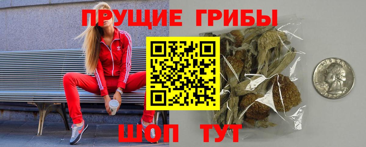 Псилоцибиновые грибы прущие грибы Менделеевск
